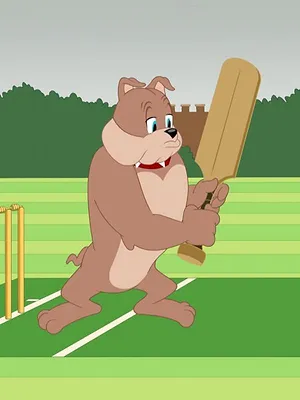 Tom et Jerry Show S5 E36