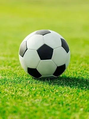 Football : Eliminatoires de la Coupe du monde féminine