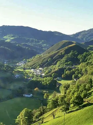 Le Kintoa, roi des cochons basques