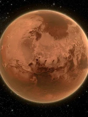 Le cosmos dans tous ses états