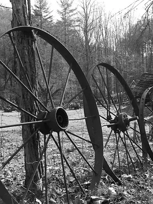 Seuls face à l'Alaska