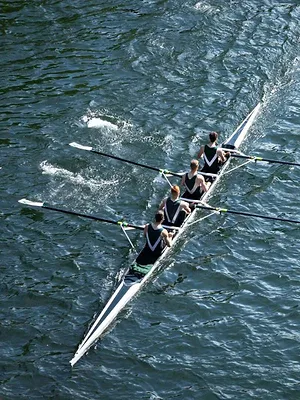 Aviron : Lucerne Regatta