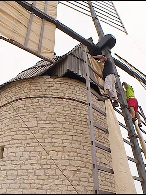 Les carnets de Julie