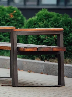 Bij ons op de Hondenacademie