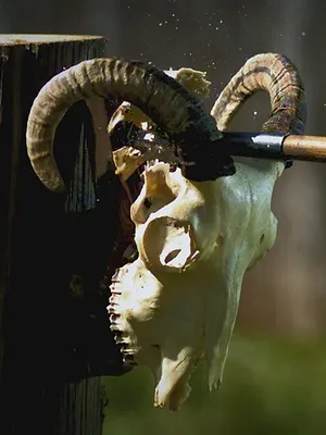 Dans le secret des bâtisseurs