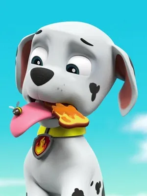 Paw Patrol, la Pat'Patrouille S2 E12