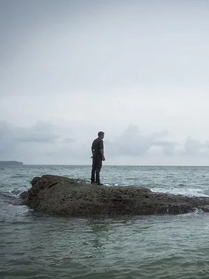 The Island