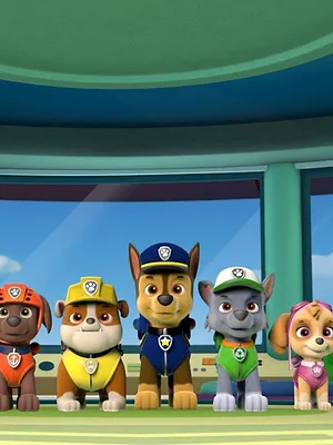 Paw Patrol, la Pat'Patrouille S5 E19