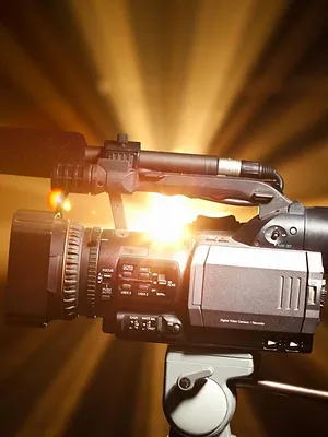 Fernão Lopes: O Renegado