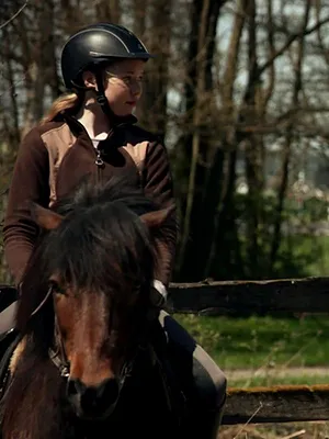 HipHorses