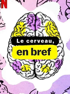Le Cerveau, en bref