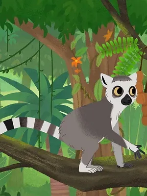 Sullivan, petit explorateur S1 E20