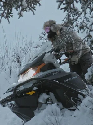 Seuls face à l'Alaska