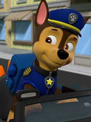 Paw Patrol, la Pat'Patrouille S8 E3