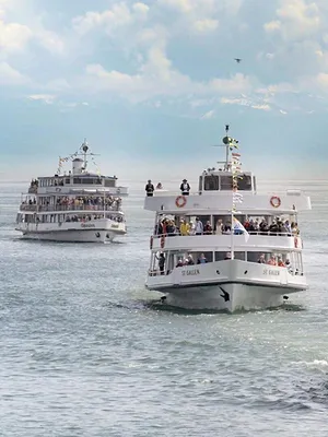 Un été au lac de Constance