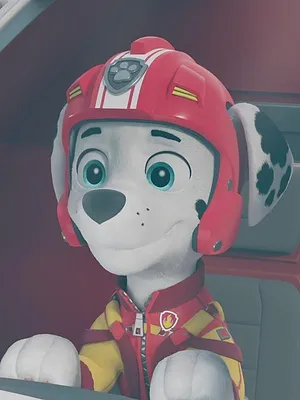 Paw Patrol, la Pat'Patrouille S11 E10