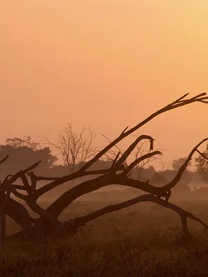 Une oasis sauvage au Kenya : Le temps des sécheresses