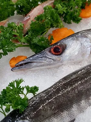 Cuisine de pêcheur