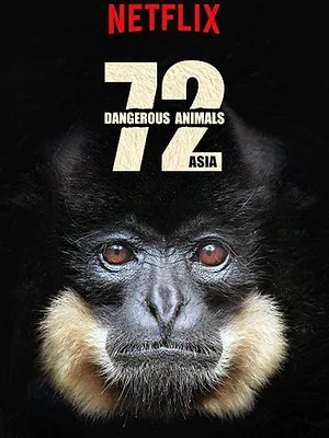 72 animaux dangereux en Asie