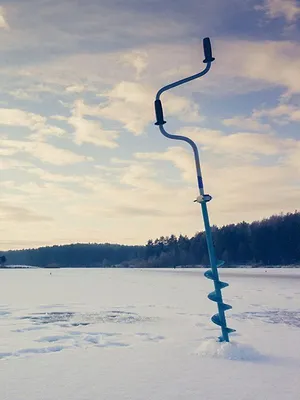 Au coeur de la nature