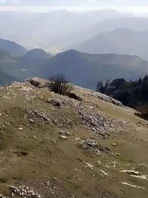 Vercors, la chasse sur un plateau