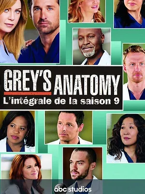 Grey's Anatomy S9 E13