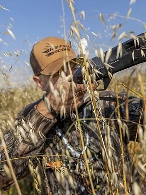 Québec à vol d'oiseau
