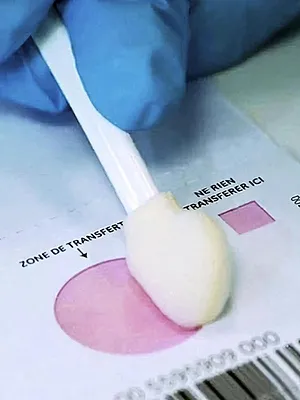 Section scientifique