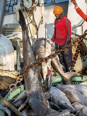 Une planète parfaite