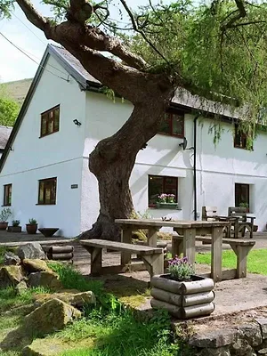 Escape to the Country