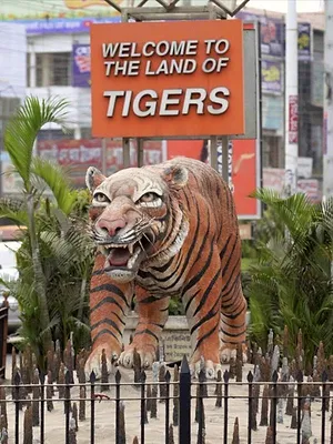 Sundarbans, le dernier royaume du tigre