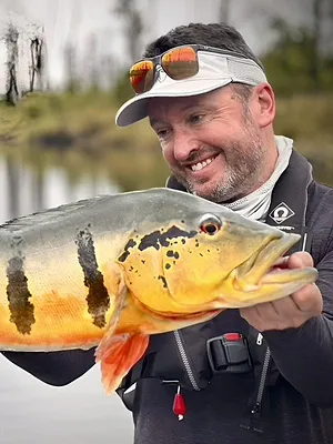 Peacock Bass, prédateur amazonien
