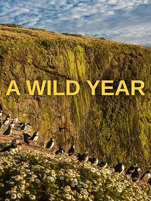 The Pembrokeshire Coast: A Wild Year