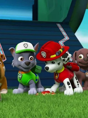 Paw Patrol, la Pat'Patrouille S5 E5