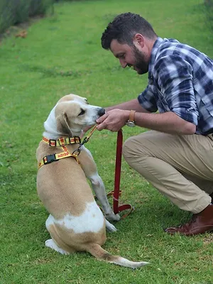 Un chien pour la vie