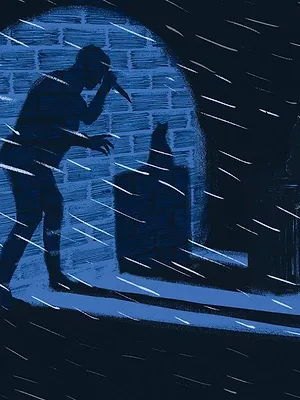 How to Catch a Cat Killer