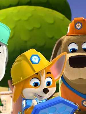 Pupstruction, les chiots en action S1 E1
