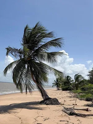 Le Suriname