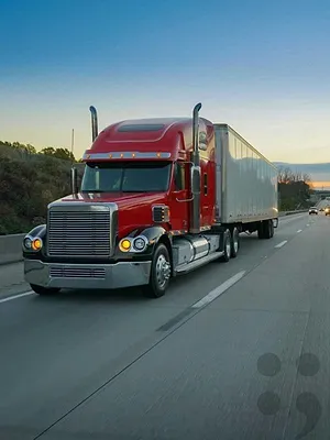 Poids lourds : les géants de la route