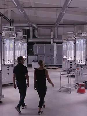 Au royaume des vers de terre : La vie du sol dévoilée