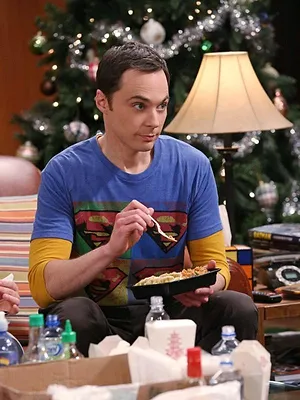 Big Bang Theory S8 E11