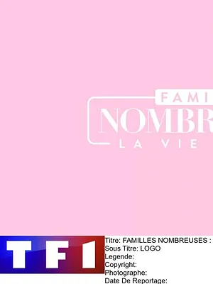 Familles nombreuses : la vie en XXL