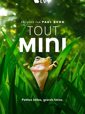 Saison 2