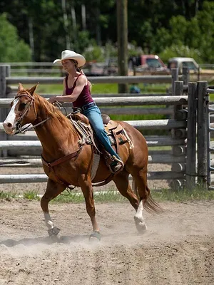Heartland S16 E3