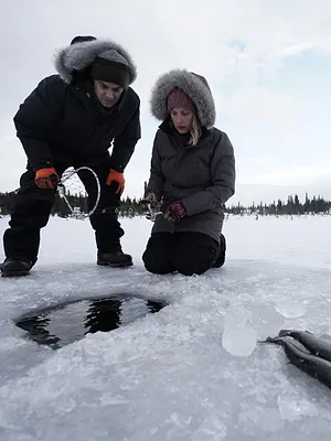 Alaska : nouvelle vie