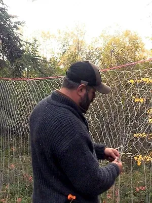 Alone : les survivants