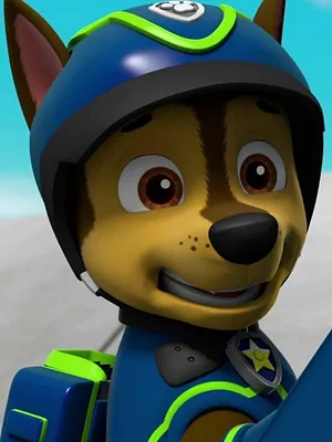 Paw Patrol, la Pat'Patrouille S5 E7