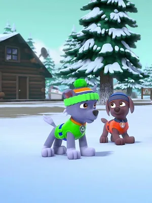 Paw Patrol, la Pat'Patrouille S3 E22