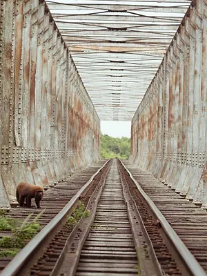 Les traqueurs de fantômes