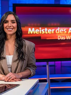 Meister des Alltags